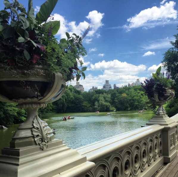 Bow Bridge in Central Park